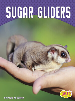 cover image of Sugar Gliders